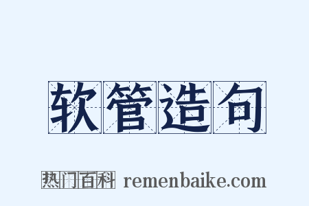 软管造句是什么意思的图片